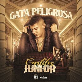 Album cover of Gata Peligrosa