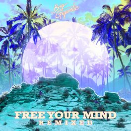 Album cover of Free Your Mind Remixed