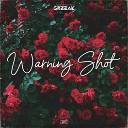 Album cover of Warning Shot