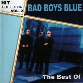 Album cover of Hitcollection, Vol. 2 (The Best Of)