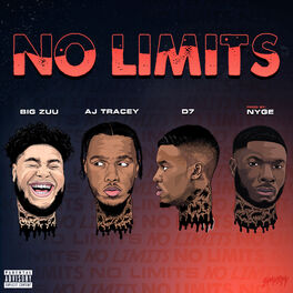 Album cover of No Limits