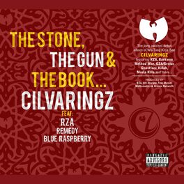 Album cover of The Stone, the Gun & the Book (feat. The RZA, Remedy & Blue Raspberry)
