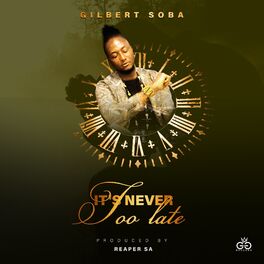 Album cover of It's Never Too Late