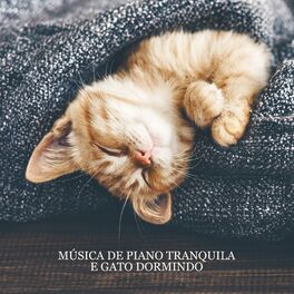 Album cover of Música de Piano Tranquila e Gato Dormindo: Música Relaxante para a Hora da Sesta (Animais de Estimação em Casa)