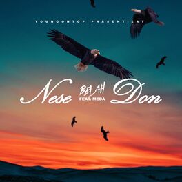 Album cover of Nese Don