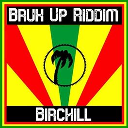Album cover of Bruk up Riddim