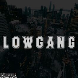 Album cover of LowGang Beat