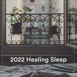 Album cover of 2022 Healing Sleep