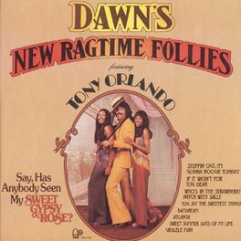 Album cover of New Ragtime Follies