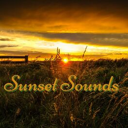 Album cover of Sunset Sounds