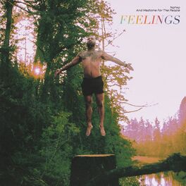 Album cover of feelings