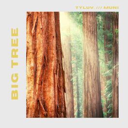 Album cover of Big Tree