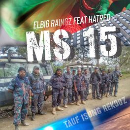 Album cover of MS 15 (feat. Hatred)