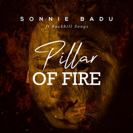 Album cover of Pillar of Fire