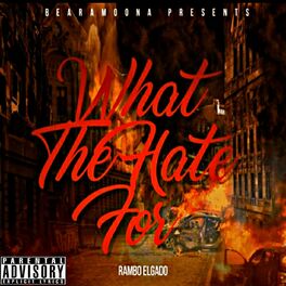 Album cover of What The Hate For (feat. Kronos)