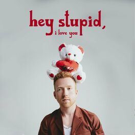 Album cover of Hey Stupid, I Love You
