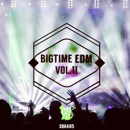 Album cover of Bigtime EDM, Vol. 11