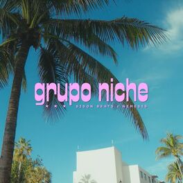 Album cover of Grupo Niche