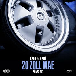 Album cover of 20 Zoll MAE