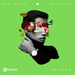 Album cover of Afro House Evolution, Vol. 06
