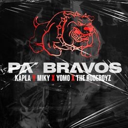 Album cover of Pa Bravos