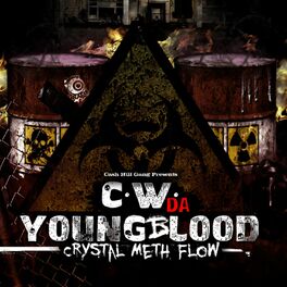 Album cover of Crystal Meth Flow