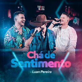 Album cover of Chá de Sentimento (Ao Vivo)