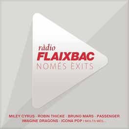 Album cover of Flaixbac 2013