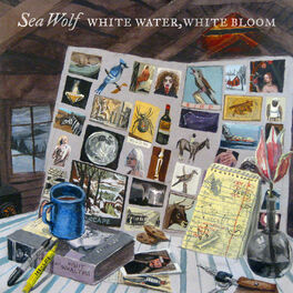 Album cover of White Water, White Bloom