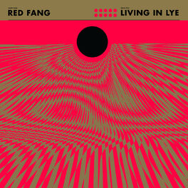 Album cover of Living in Lye - Single