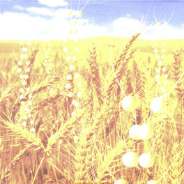Album picture of Genetic World