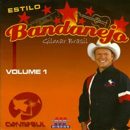 Album cover of Estilo Bandanejo