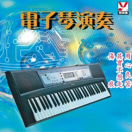 Album cover of 電子琴演奏