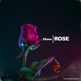 Album cover of Rose (feat. Phenonmenon)