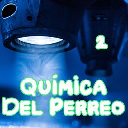Album cover of Química Del Perreo Vol. 2