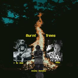 Album cover of Burnt Trees (feat. 1 to Dial & AÏda)