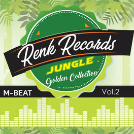 Album cover of Renk Records Golden Collections, Vol. 2