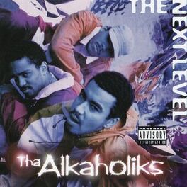 Album cover of The Next Level