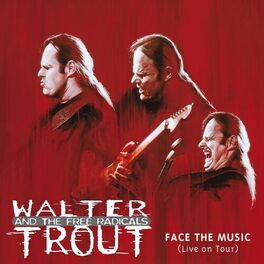 Album cover of Face The Music (Live on Tour)