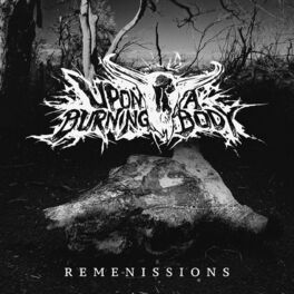 Album cover of Remenissions