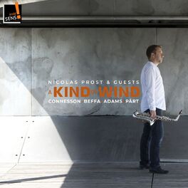 Album cover of A Kind of Wind
