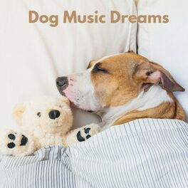 Album cover of Dog Music Dreams