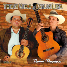 Album cover of Pedra Preciosa, Vol. 1
