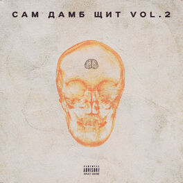 Album cover of САМ ДАМБ ЩИТ, Vol. 2