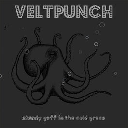 VELTPUNCH - question no.13: lyrics and songs | Deezer