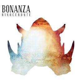 Album cover of Rinoceronte
