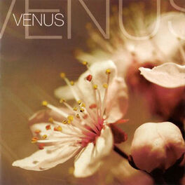Album cover of Venus