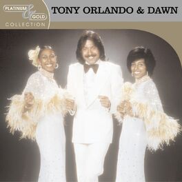 Album cover of Platinum & Gold Collection