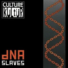 Album cover of DNA Slaves