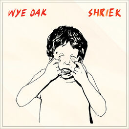 Album cover of Shriek (Deluxe Version)